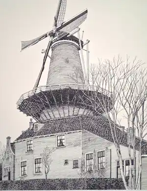 Sees Vlag - Delft Molen De Roos kopen? Bied vanaf 85!