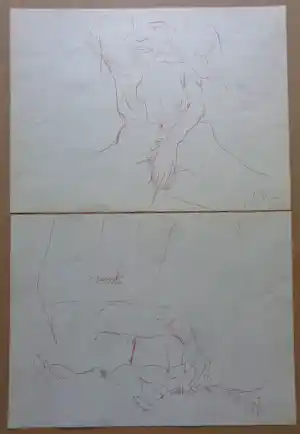 John Lennon - EROTIEK / 2 STUKS / KLEURLITHO / 37x50cm / YOKO ONO verkocht voor € 25!