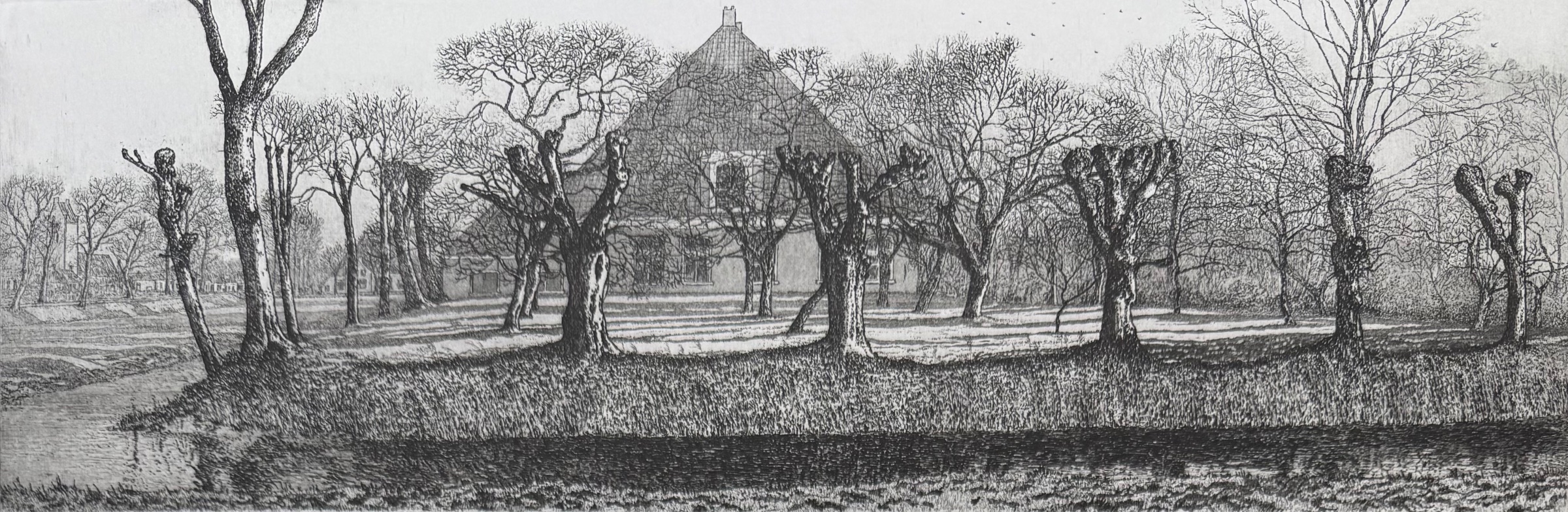 Reinder Homan - handgesigneerde ets/aquatint | 'Heech Hiem - Goutum' | 2009 kopen? Bied vanaf 120!