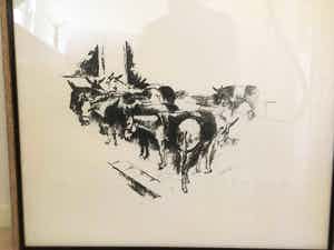 Jan Groenestein - Ezels verkocht voor € 50!