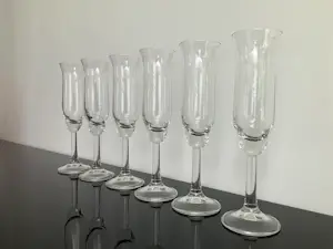 Willem Heesen - Zes Ambassador champagne glazen kopen? Bied vanaf 22!