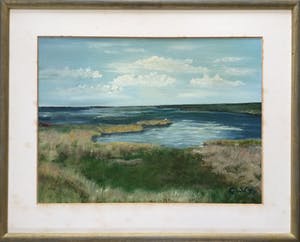 Niet of onleesbaar gesigneerd - 2x landschap Terschelling | 2x olieverf schilderijen (ingelijst) kopen? Bied vanaf 1!