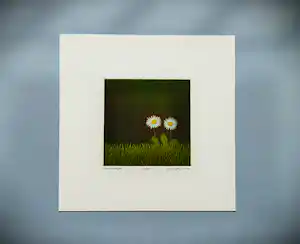 Joop Vegter - Fraaie kleine mezzotint "twee madeliefjes" - kleine oplage - potloodgesigneerd verkocht voor € 150!