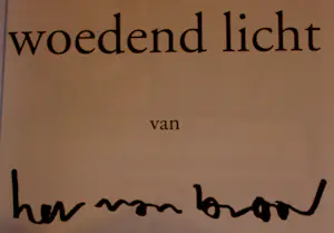 Herman Brood - Zeefdruk met boek: Woedend licht - 2000 kopen? Bied vanaf 150!