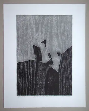 Franz Eggenschwiler - Donnerpfeile II, 1992 - Originele houtsnede, handgesigneerd kopen? Bied vanaf 80!