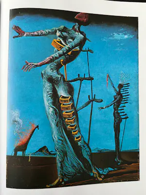 Salvador Dali - Twee boeken over Salvador Dali. Één boek is in originele verpakking. kopen? Bied vanaf 25!