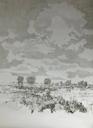 Ton Albers - Landschap bij Ouderkerk kopen? Bied vanaf 35!