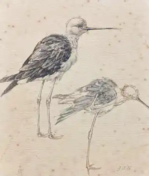 Peter Vos - Vogels, tekening met aquarel verkocht voor € 170!