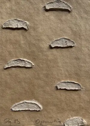 Sjoerd Buisman - handgesigneerd collage op karton | 'Opuntia' | 1993 (UNIEK WERK) kopen? Bied vanaf 250!