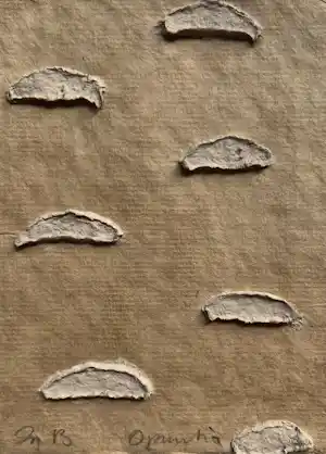 Sjoerd Buisman - handgesigneerd collage op karton | 'Opuntia' | 1993 (UNIEK WERK) kopen? Bied vanaf 250!