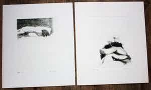 Rob Cox - 2 etsen - grafiek erotiek 1978/1979 verkocht voor € 70!