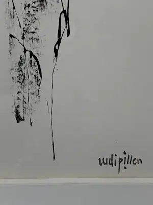 Rudi Pillen - Naakt kopen? Bied vanaf 1000!