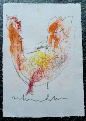 Anton Heyboer - Kip - Gemengde techniek- Jaren 90 - 30 x 22 cm kopen? Bied vanaf 175!