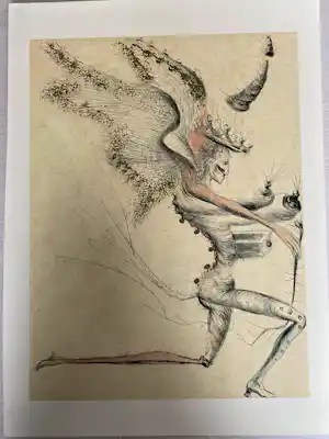 Salvador Dali - 12 stuks litho Venus aux Fourrures kopen? Bied vanaf 185!