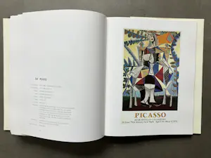 Pablo Picasso - Catalogue Raisonné - Picasso in his posters - 4 delen kopen? Bied vanaf 250!