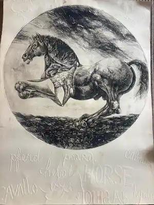Willem Snitker - Originele grote ets met blinddruk paard kopen? Bied vanaf 60!