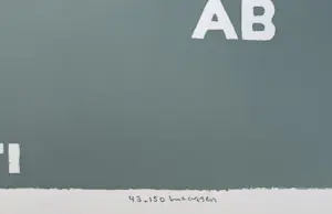 Reinier Lucassen - handgesigneerde kleurenzeefdruk | 'KLTR AB ANTI' kopen? Bied vanaf 100!