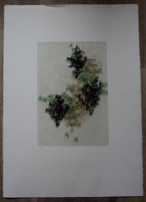 Yoshiko Noma - Litho: Fleures I kopen? Bied vanaf 125!