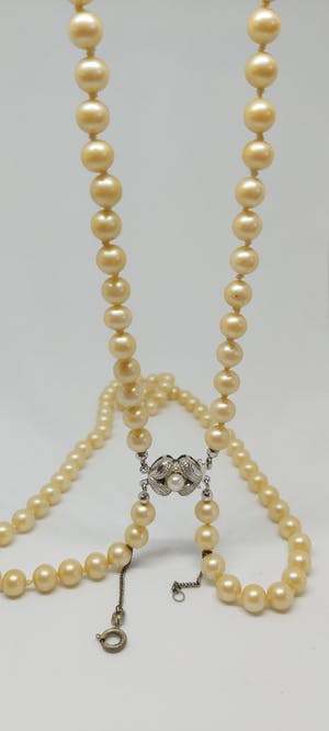 Zoetwaterparel Collier 45cm Zilveren Slotje 835 kopen? Bied vanaf 75!