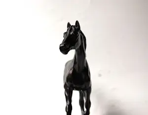 Irénée Rochard - Paard in draf kopen? Bied vanaf 1750!