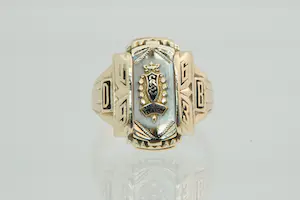 81- Mooi bewerkte, rechthoekige 10krt BWGG USA Salisbury Elk Lick ring kopen? Bied vanaf 400!