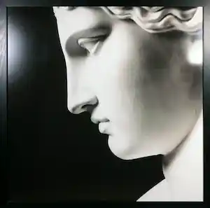 Rene Stoeltie - C-Print, Zonder titel - Ingelijst (Zeer groot) verkocht voor € 121!