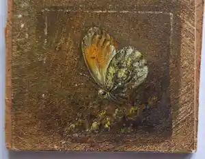 Hans van Wijk - Vlinder .Klein schiderij verkocht voor € 70!