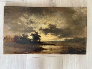 Remigius Adrianus Haanen - Onbekend kopen? Bied vanaf 300!