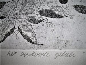 Peter Bol - Grote & gedetailleerde Ets "Het verstoorde geluk" 1973 - gesigneerd kopen? Bied vanaf 38!