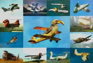 Martin Schwarz - "Vogelflieger" 1997 - Lithographie - Auflage von 350 - signiert - (70 x 50 cm) kopen? Bied vanaf 80!