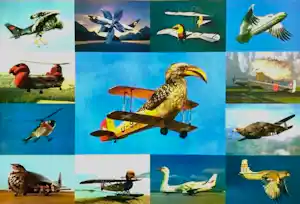 Martin Schwarz - "Vogelflieger" 1997 - Lithographie - Auflage von 350 - signiert - (70 x 50 cm) kopen? Bied vanaf 80!