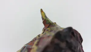 Ada Stel - Sculptuur van keramiek, Neeltje kopen? Bied vanaf 100!