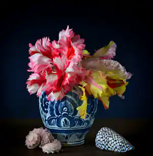 Kommer Hakkenbrak - Stilleven met Schelpen (2023), Hahnemuhle Fine Art Print verkocht voor € 450!