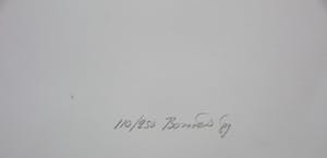 Bob Bonies - Zeefdruk in samenwerking met Frans Molenaar - 1989 kopen? Bied vanaf 100!