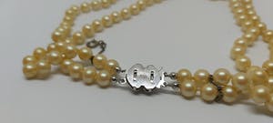 Zoetwaterparel Collier 45cm Zilveren Slotje 835 kopen? Bied vanaf 75!