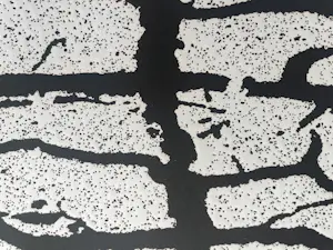 Menashe Kadishman - Cracked earth kopen? Bied vanaf 100!
