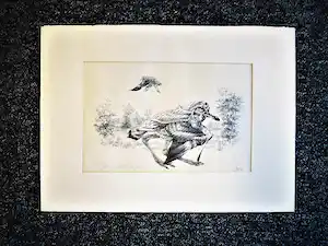 Peter Vos - Vrij zeldzame Litho met opdracht "voor Cor (omdat hij dat wou)" 1973 verkocht voor € 113!