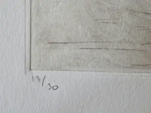 Jan Montyn - in 1982 gemaakte Ets & Aquatint - ZT- kleine oplage (30) - potloodgesigneerd kopen? Bied vanaf 63!