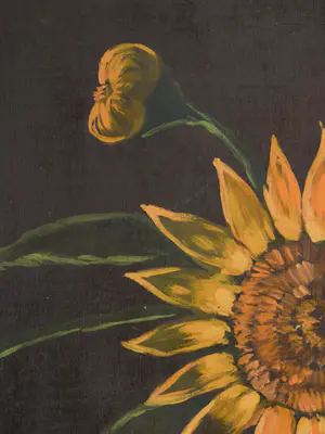 Jan Bakker - Zonnebloemen kopen? Bied vanaf 100!