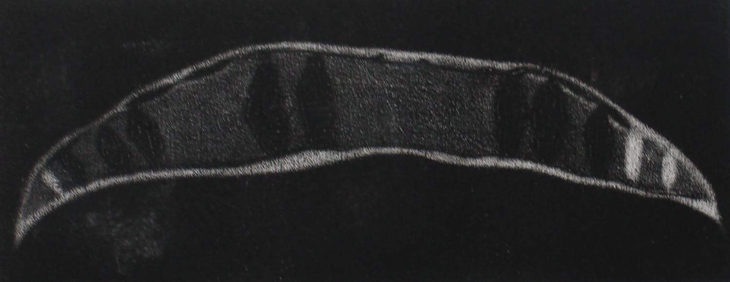 Henrietta Harkink