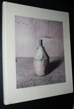 Giorgio Morandi - Morandi's Objects- Joel Meyerowitz - hardcover 2015 kopen? Bied vanaf 100!