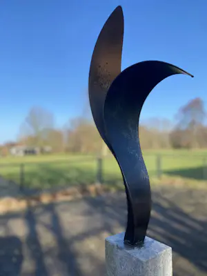 John Spek - Ontluiking kopen? Bied vanaf 500!