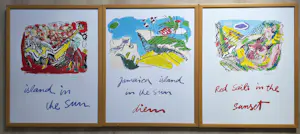 Peter Diem - lot van 3 zeefdrukken - ingelijst kopen? Bied vanaf 20!