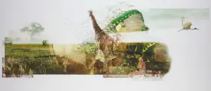 Kim Heesakkers - Foto, Sharing the continent - Ingelijst (Groot) kopen? Bied vanaf 50!