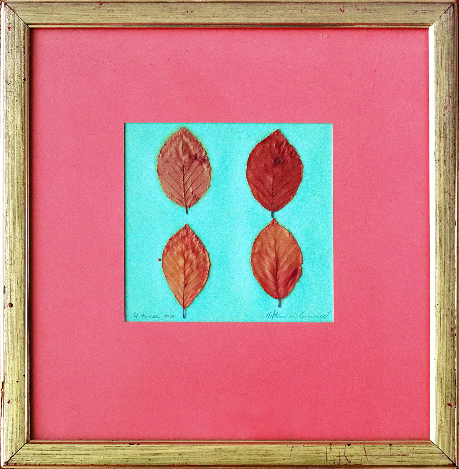 Hilton McConnico アート作品 Hilton McConnico