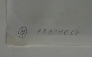 Jiri Salamoun - Proroctvi (Profetie) kopen? Bied vanaf 100!