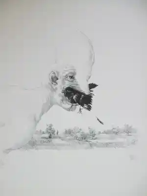 Peter Vos - Schiereiland Melancholie - Litho verkocht voor € 48!