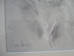 Piet Klaasse - CRAIG HARRIS kopen? Bied vanaf 100!