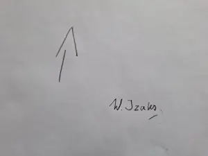 Wim Izaks - Olieverf op papier - Vrije compositie - Handgesigneerd !!! kopen? Bied vanaf 135!