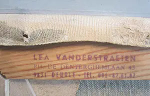 Lea Vanderstraeten - "Farmers in the Field" kopen? Bied vanaf 200!